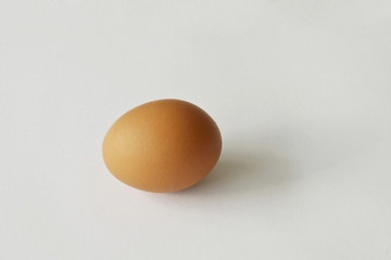 egg isolated