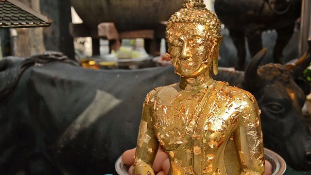 buddha statue with gold leaves