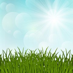 Fototapeta na wymiar Spring grass on sunny background