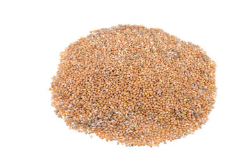 Close up of golden corn grains.