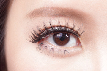 Obraz premium Beautiful woman eye