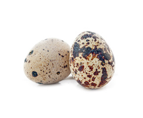 Obraz premium two quail egg