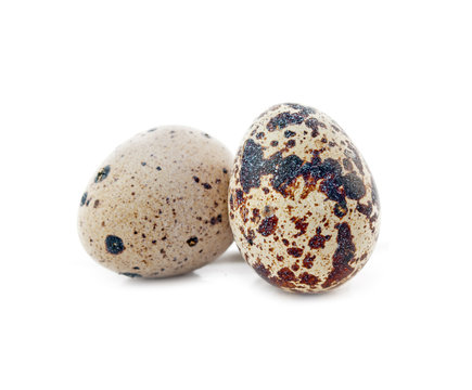 two quail egg