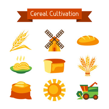 Cereal cultivation and farming icon set.