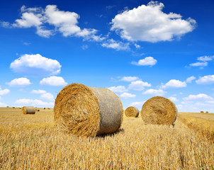 Straw bales on farmland with blue cloudy sky