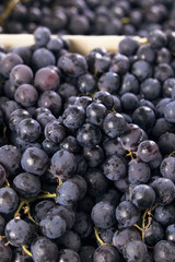 Grape