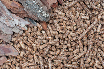 Biomass