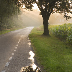 Dutch country road and farm with sunbeams