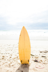 Surfboard standing upright in sand