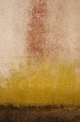 Hintergrund Wand mit Flechten in gelb und rot