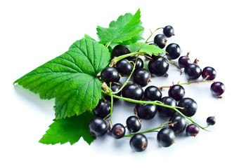 black currant
