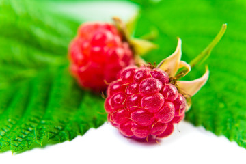 red raspberry