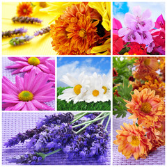 flowers collage