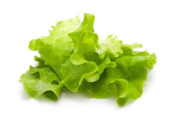 Lettuce isolated on white