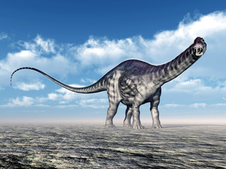 Naklejka na ściany i meble Dinosaurier Apatosaurus