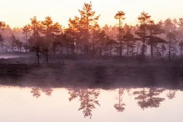 Foto auf Leinwand Misty morning © Lars Johansson