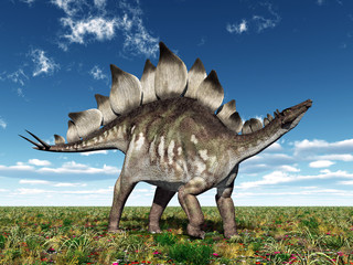 Dinosaur Stegosaurus © Michael Rosskothen