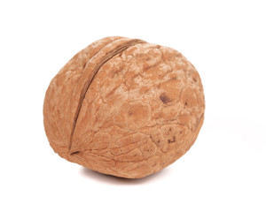 Single walnut close up.