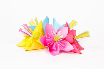 Five colored paper flowers