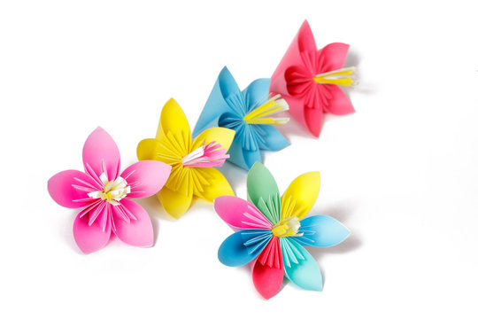 Four colored paper flowers and flower with varicolored petals