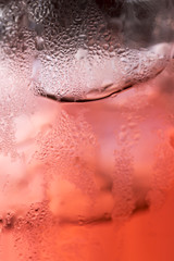 Carbonated Bubbles Rising in a Red/ Pink Liquid