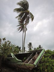 shipwreck after the storm