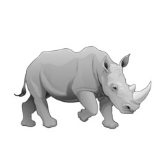 Obraz premium Rhinoceros.