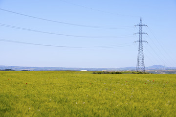 pylon