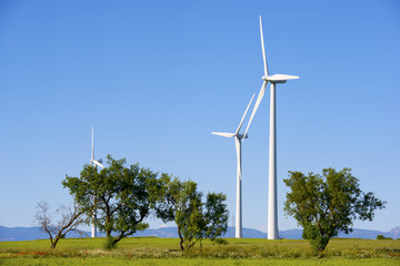 wind energy