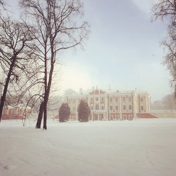 Snow storn near Kadriorg palace