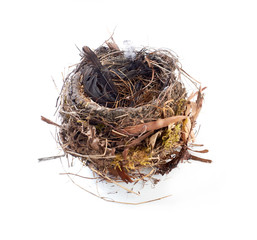 Obraz premium Empty Birdnest