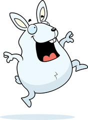 Rabbit Jumping