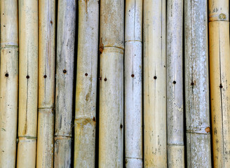 Bamboo texture background