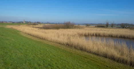 Obraz premium Village along a sunny river in winter