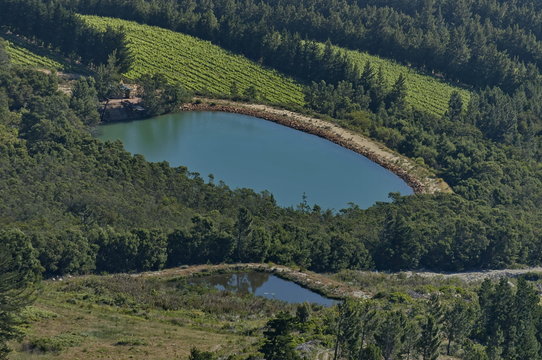 Closeup view to one irrigation pond