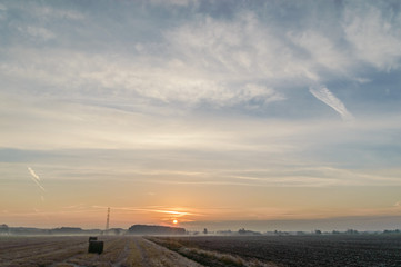 agricultural field