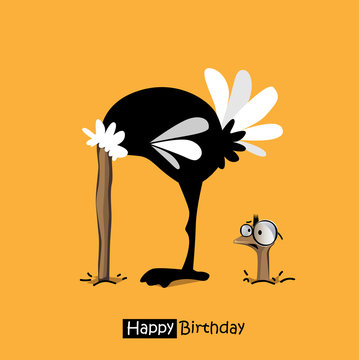 Happy Birthday smile birds funny ostrich