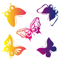 butterflies design