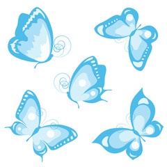 butterflies design
