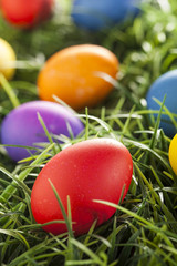 Fototapeta na wymiar Colorful Dyed Eggs for Easter