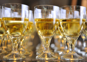 Closeup of glasses of white wine in a row on a table