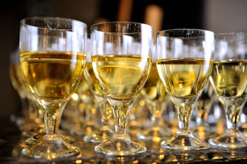Closeup of glasses of white wine in a row on a table
