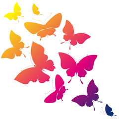 butterflies design