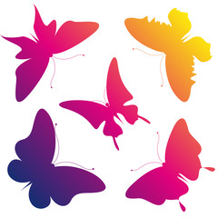 butterflies design
