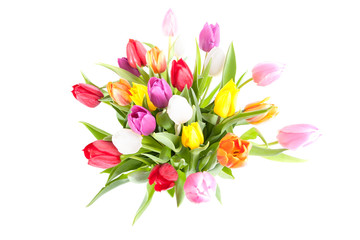 Colorful tulips in glass vase on white background