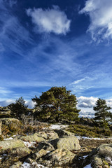 Fototapeta na wymiar Landscape in mountain in Madrid. Spain
