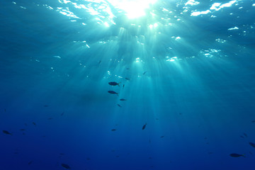 Fototapeta na wymiar Powierzchni wody i światło słoneczne w oceanie