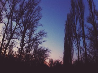 Закат в Парке 