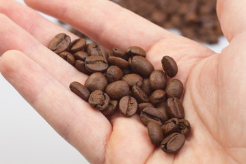 Coffee beans on the hands