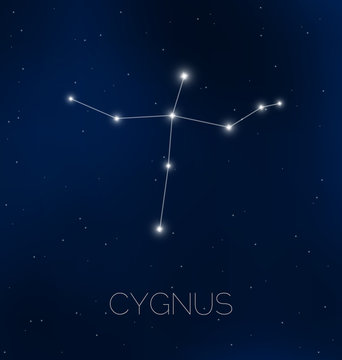Cygnus constellation in night sky